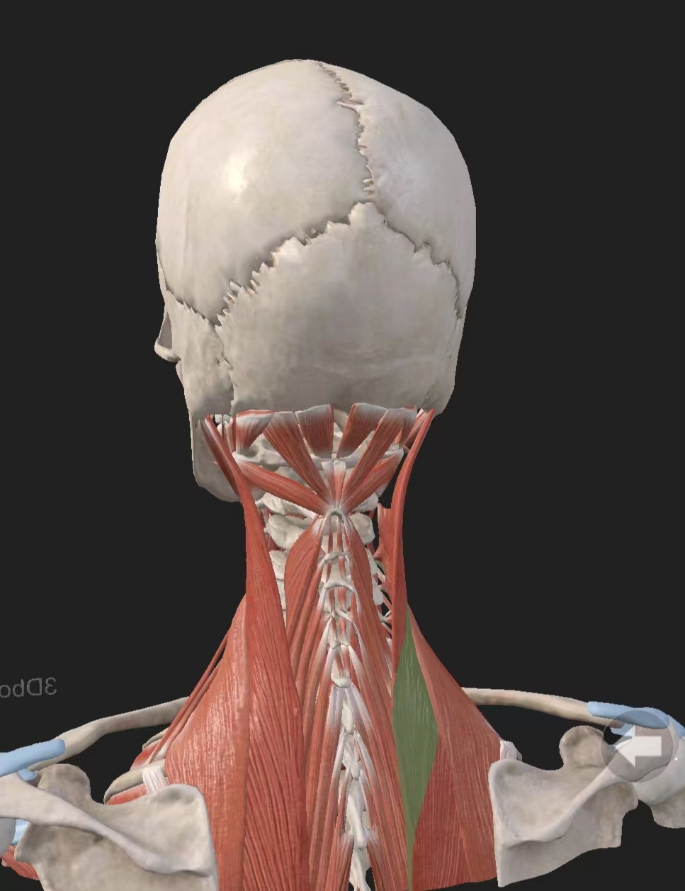 12周摘掉眼镜恢复视力知乎,18周后眼睛近视散光