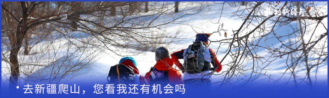 入疆旅游攻略,环疆旅游攻略大全