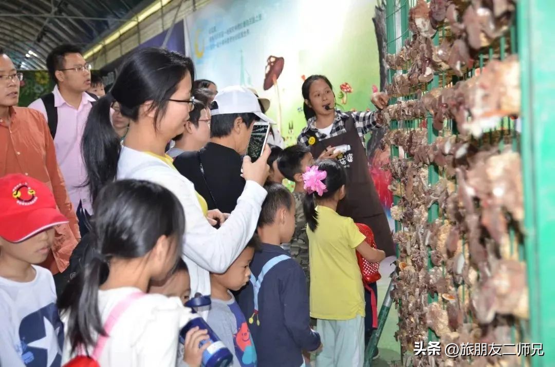 佛山去江门旅游景点推荐,佛山去江门旅游攻略