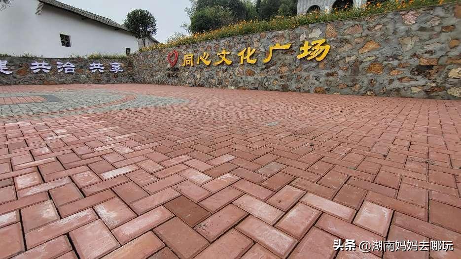 长沙近郊一日自驾游攻略,长沙大观园旅游攻略