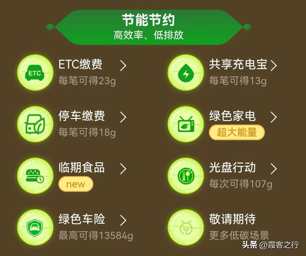 蚂蚁森林能查看访问记录吗,蚂蚁森林的消息记录
