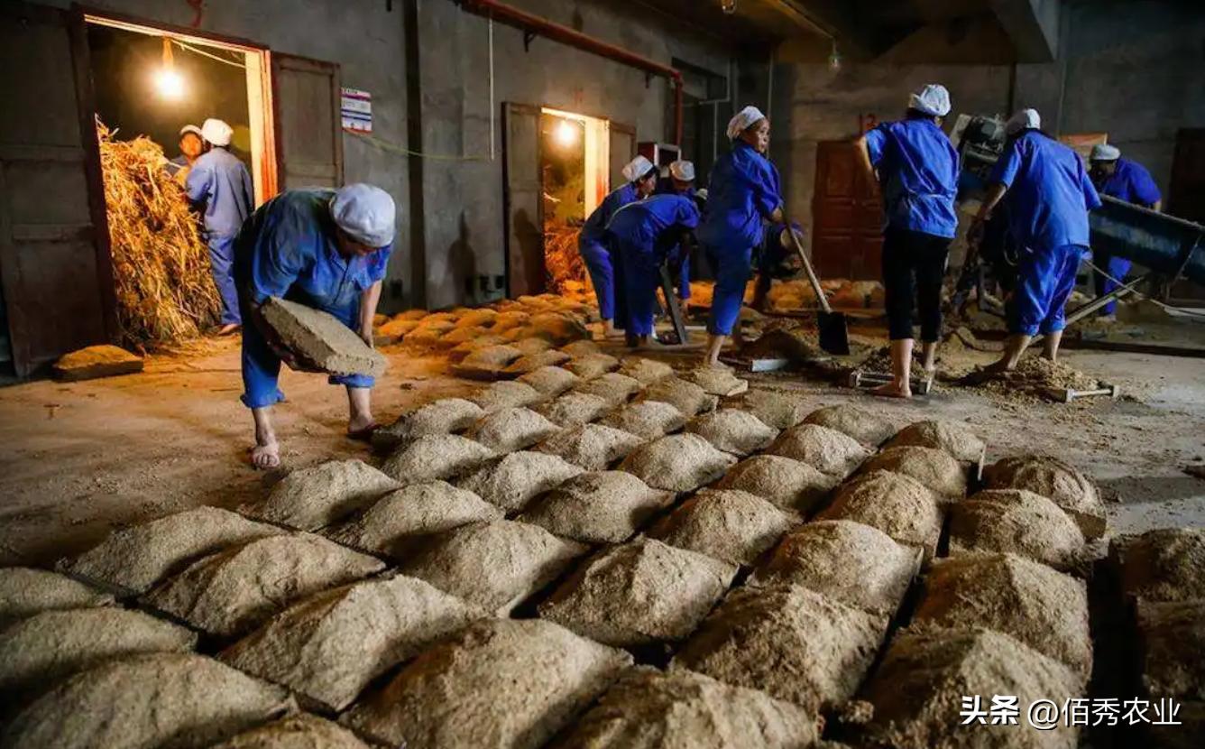 酒水利润一般在多少合适,酒水的利润是多少钱一瓶