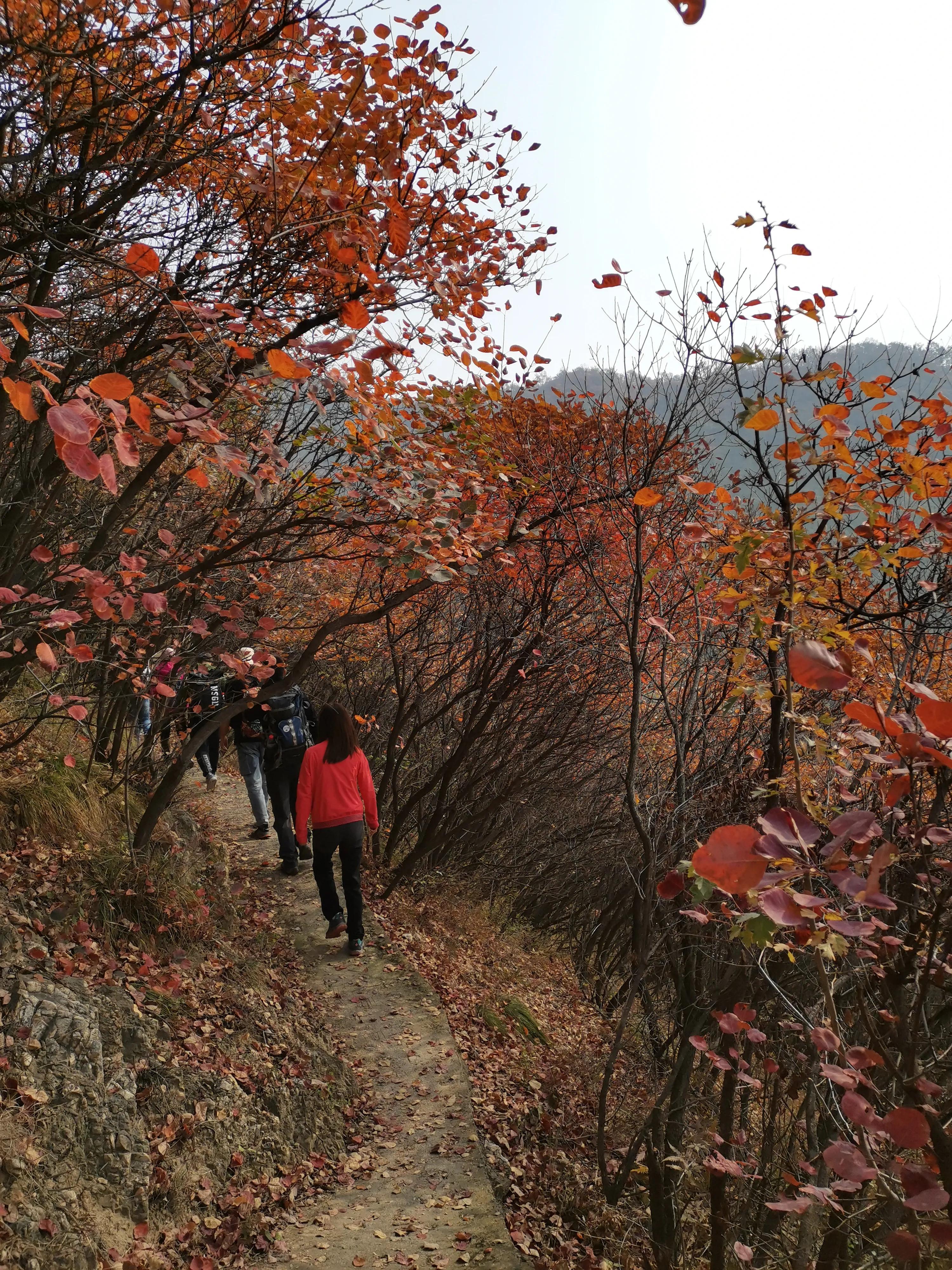 户外俱乐部论坛,经典户外论坛