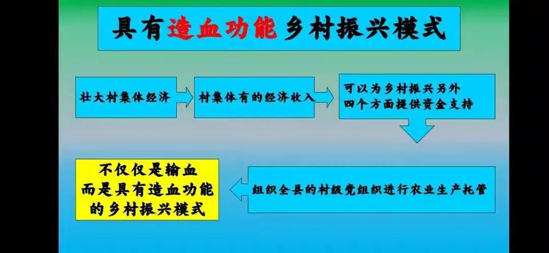 乡村振兴公益商业模式,乡村振兴的农业思路探讨