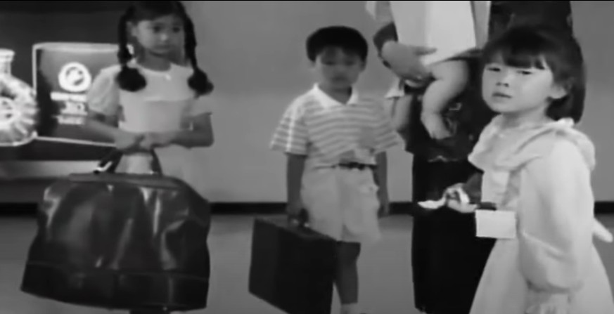 领养海外孤儿,外国人收养孤儿背后的真相