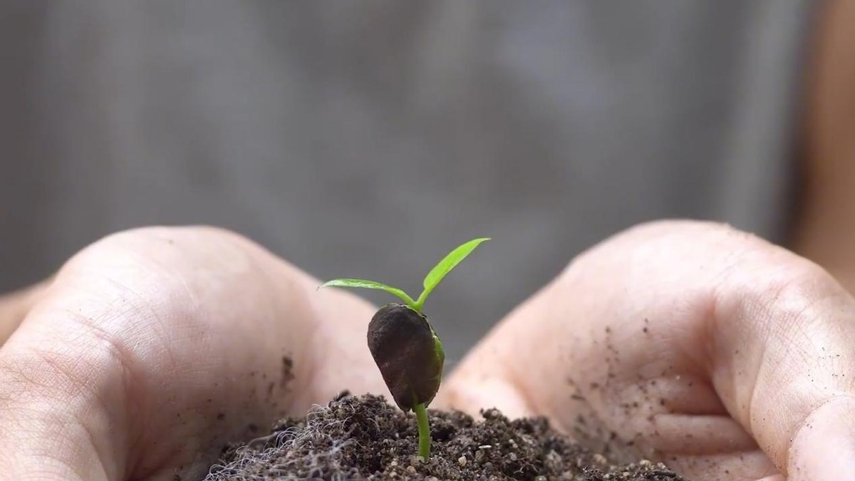 明年是双春黑兔年吗,今年兔年是黑兔年吗有什么讲究