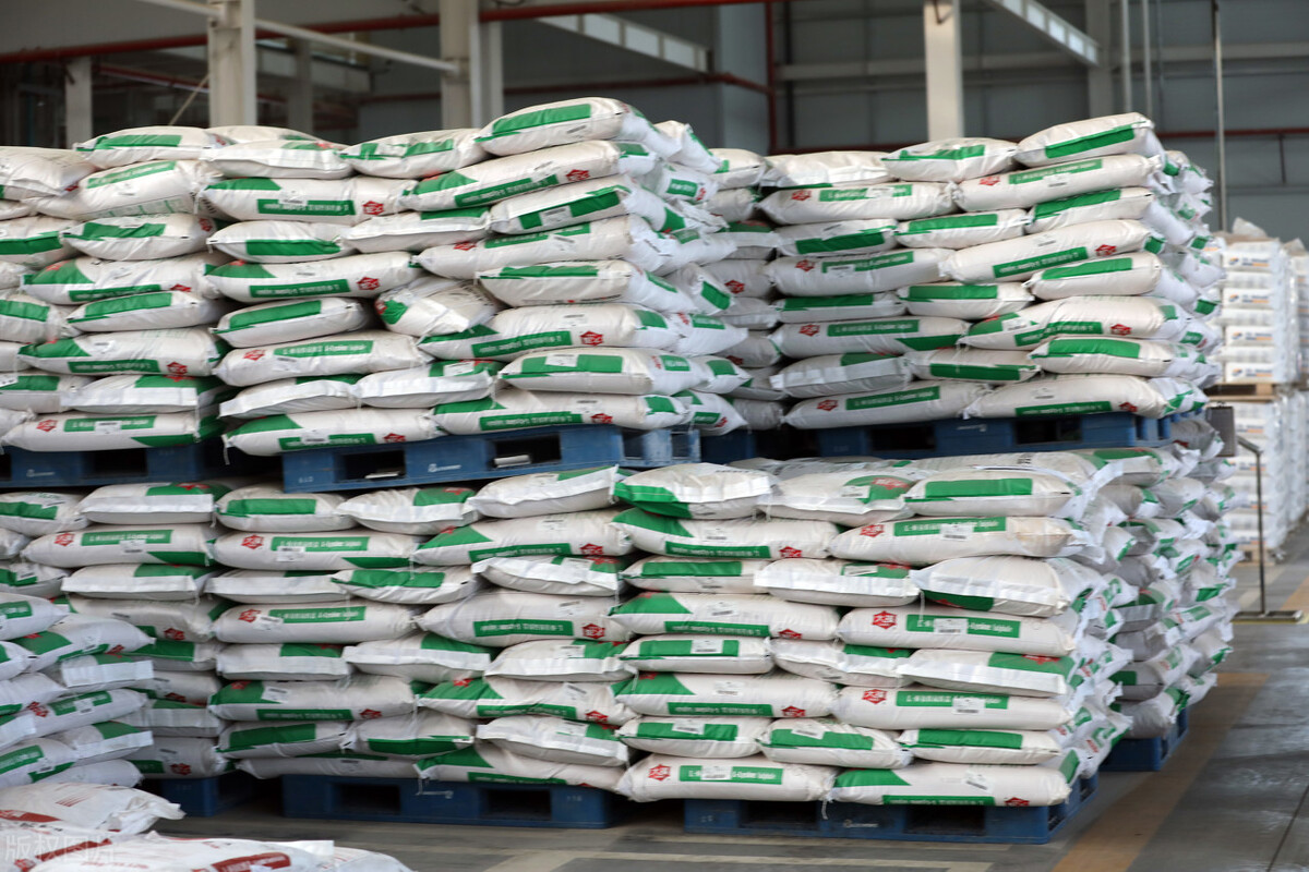 玉米现货涨期货为什么跌,玉米期价反弹动力引关注