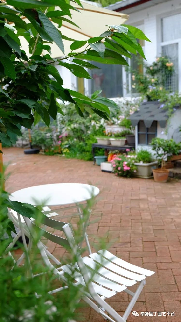 2022园丁奖花园组《001号》慢步时光花园