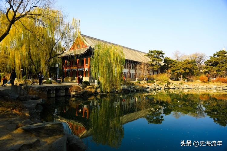 北京大学强基计划自荐信范文,强基计划考生自我陈述范文