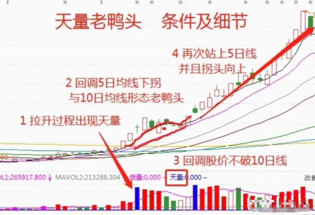 股票投资真的可以实现财富自由吗,股票投资到底什么样的人才能成功
