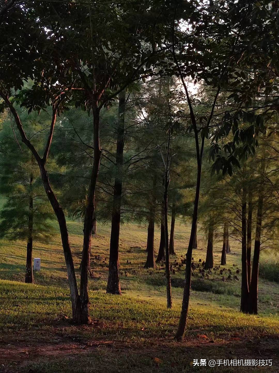 单反拍照明暗反差太大拍摄技巧,在恶劣光线下拍摄好照片的秘诀