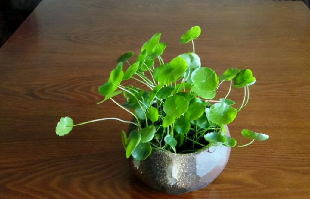 做人出错了几次才要及时止损,人生的转折点及时止损