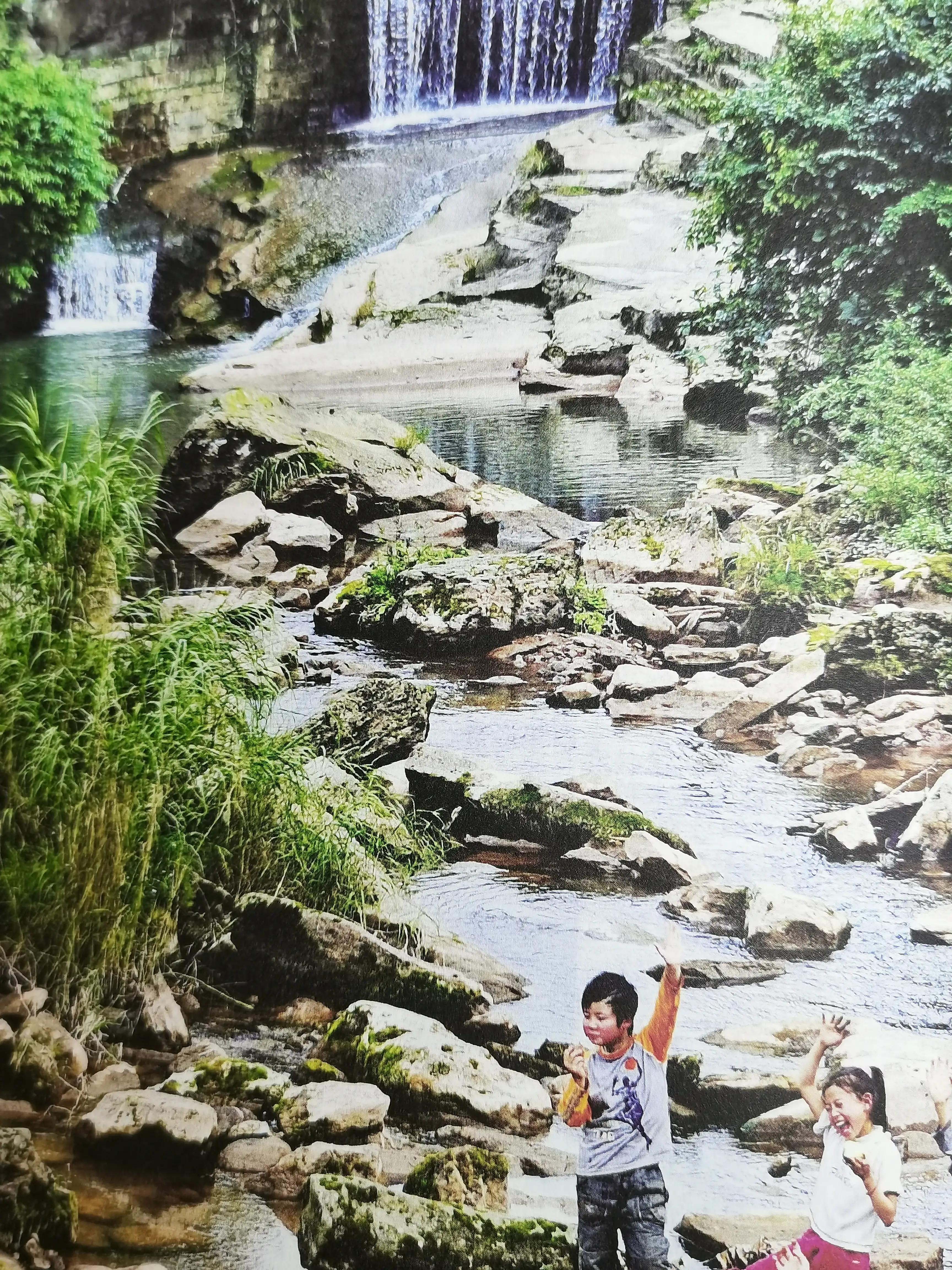 綦江九龙潭峡谷,重庆綦江有哪些野生动物