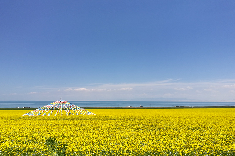 青海湖自驾游旅游攻略最新,青海湖环湖自驾一圈游攻略