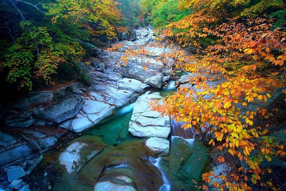 四川光雾山风景视频,光雾山旅游景区