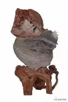 难得一见的仙鹤假奇石,这些难得一见的奇石美醉了