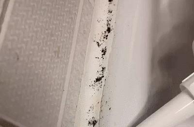 衣服洗完沾满“毛絮”怎么办？教你这么做，衣服洁净如新，贼实用