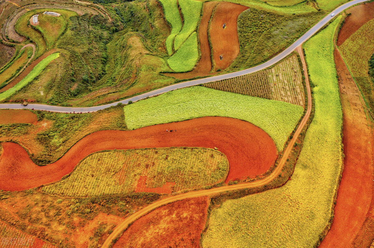 去云南昆明旅游攻略必去景点,云南的昆明旅游攻略必去景点顺序