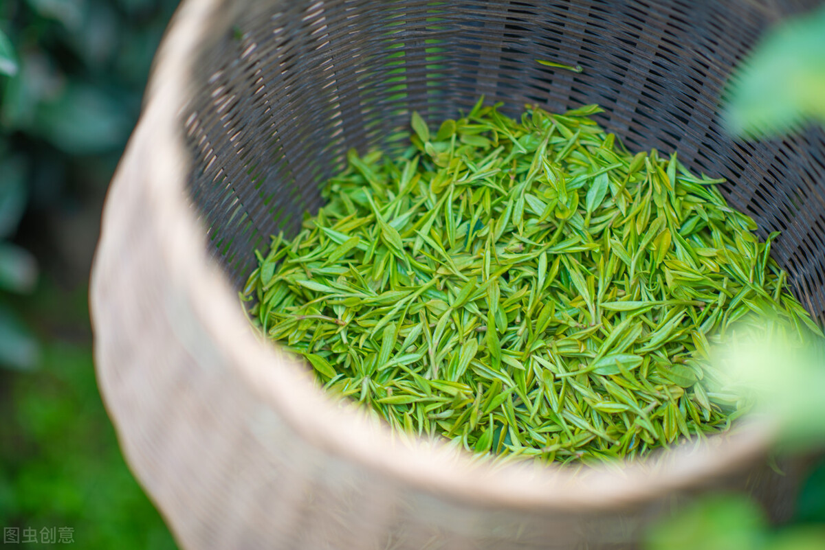 中国四大茗茶有哪些呢,中国四大茗茶有哪些