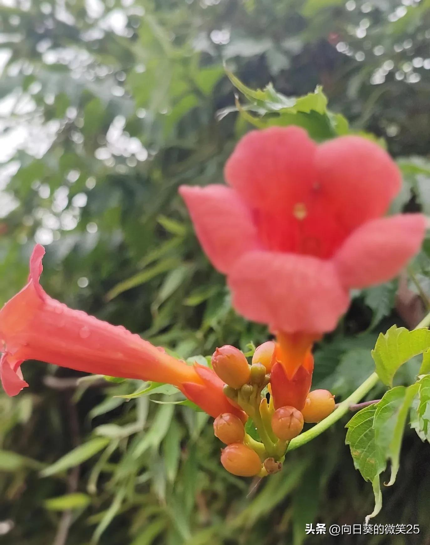 痛心!她为什么要讳疾忌医?!