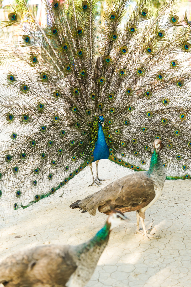 宿州两日游,宿州旅游攻略三日游
