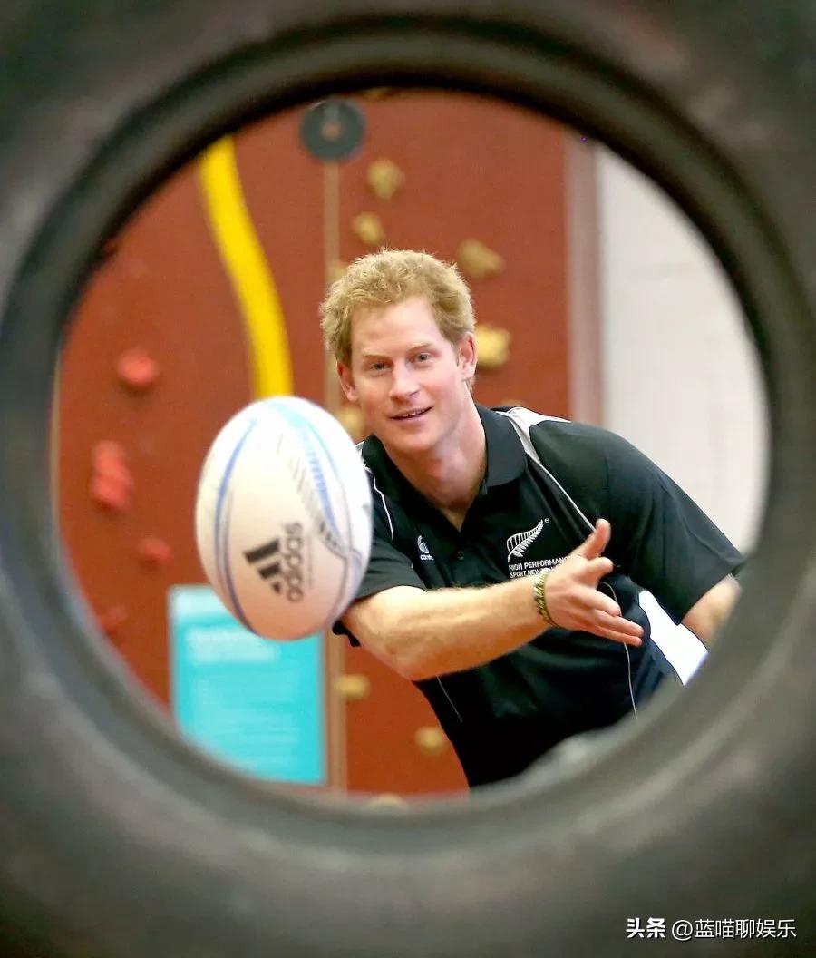 哈里王子和威廉王子回忆,哈里王子梅根感人视频