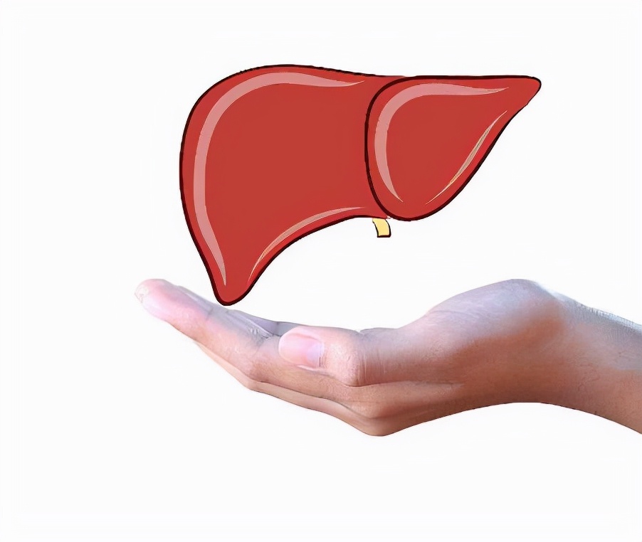 血清谷氨酰基转移酶高是怎么回事,血清谷氨酰转移酶升高是怎么回事