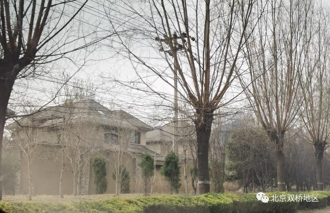 第一时间探访双桥嘉园管控区周边