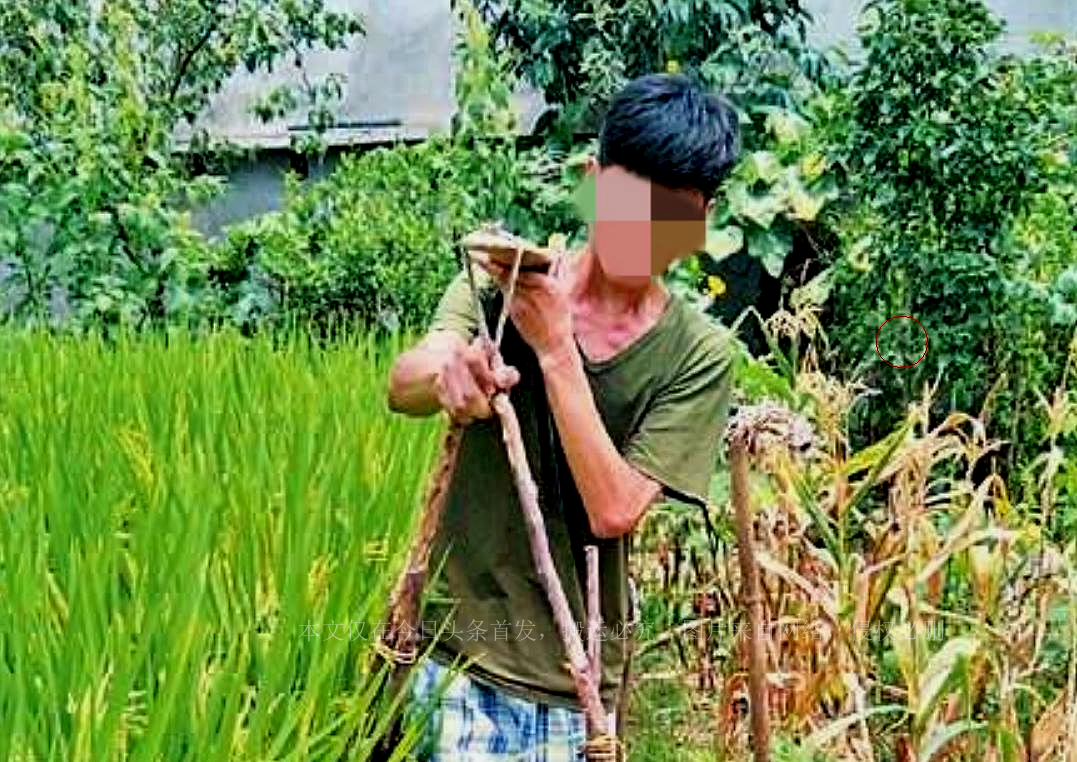 云南夫妇生双胞胎,云南夫妻连续生13个孩子