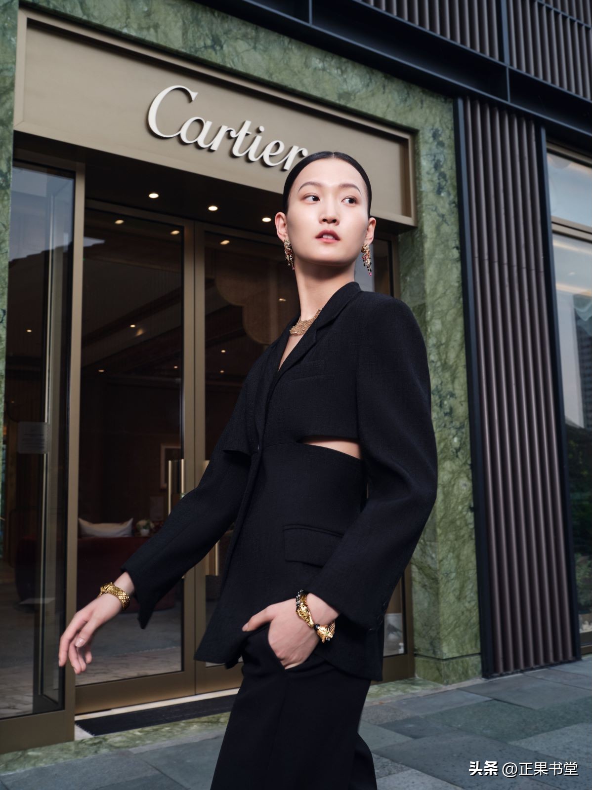 卡地亚系列故事,真实的卡地亚故事