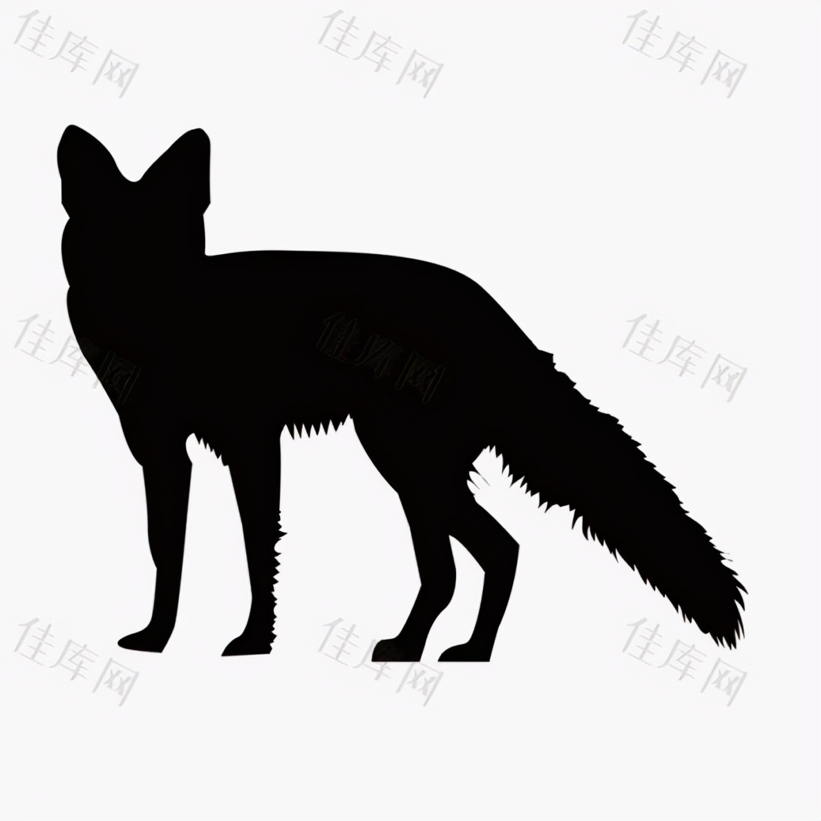 动物报复人类事例的真实故事,动物复仇的真实事件