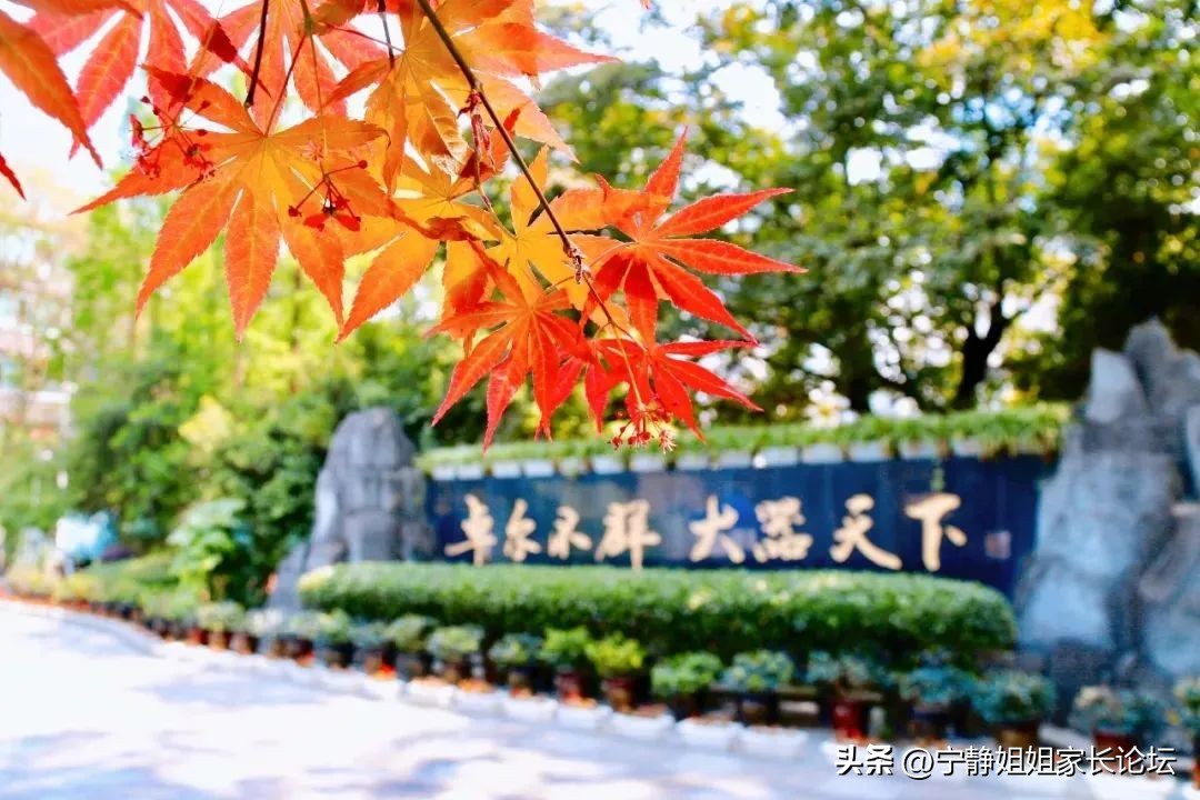 成都锦江区教育资源排名,锦江区教育资源片区排行榜