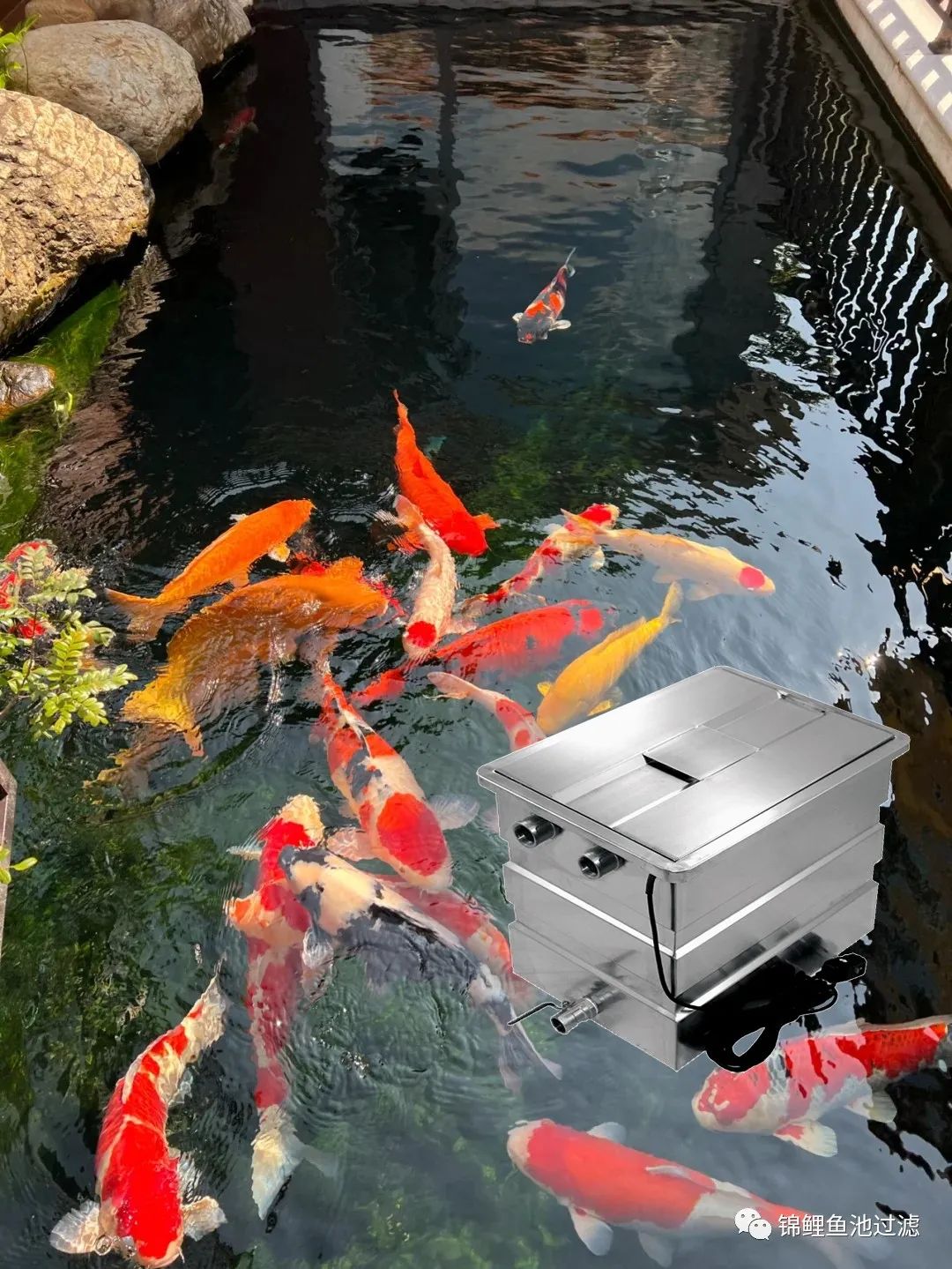 水色宜居的利弊,水色和水质是什么意思