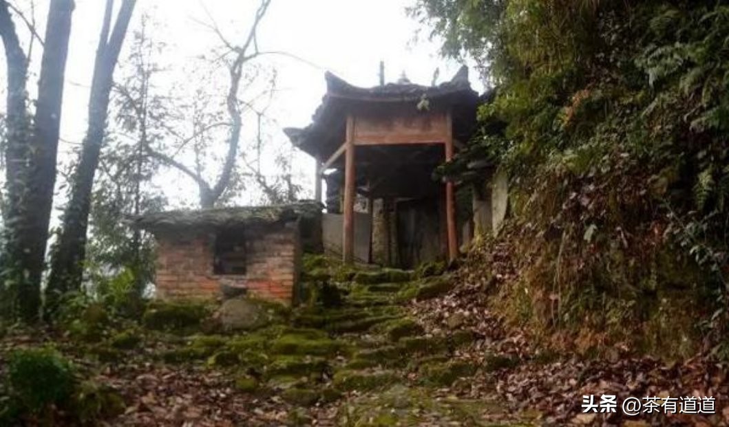 荥经茶马古道徒步线路,雅安荥经茶马古道穿越