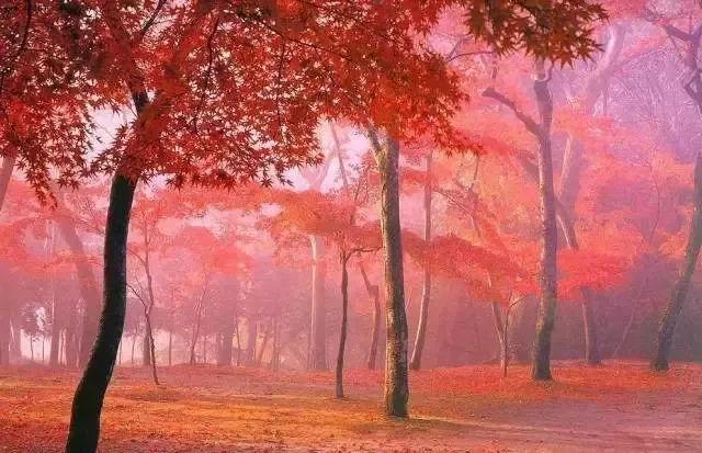 阿坝州最好的一个县是哪儿,阿坝州十三县排名