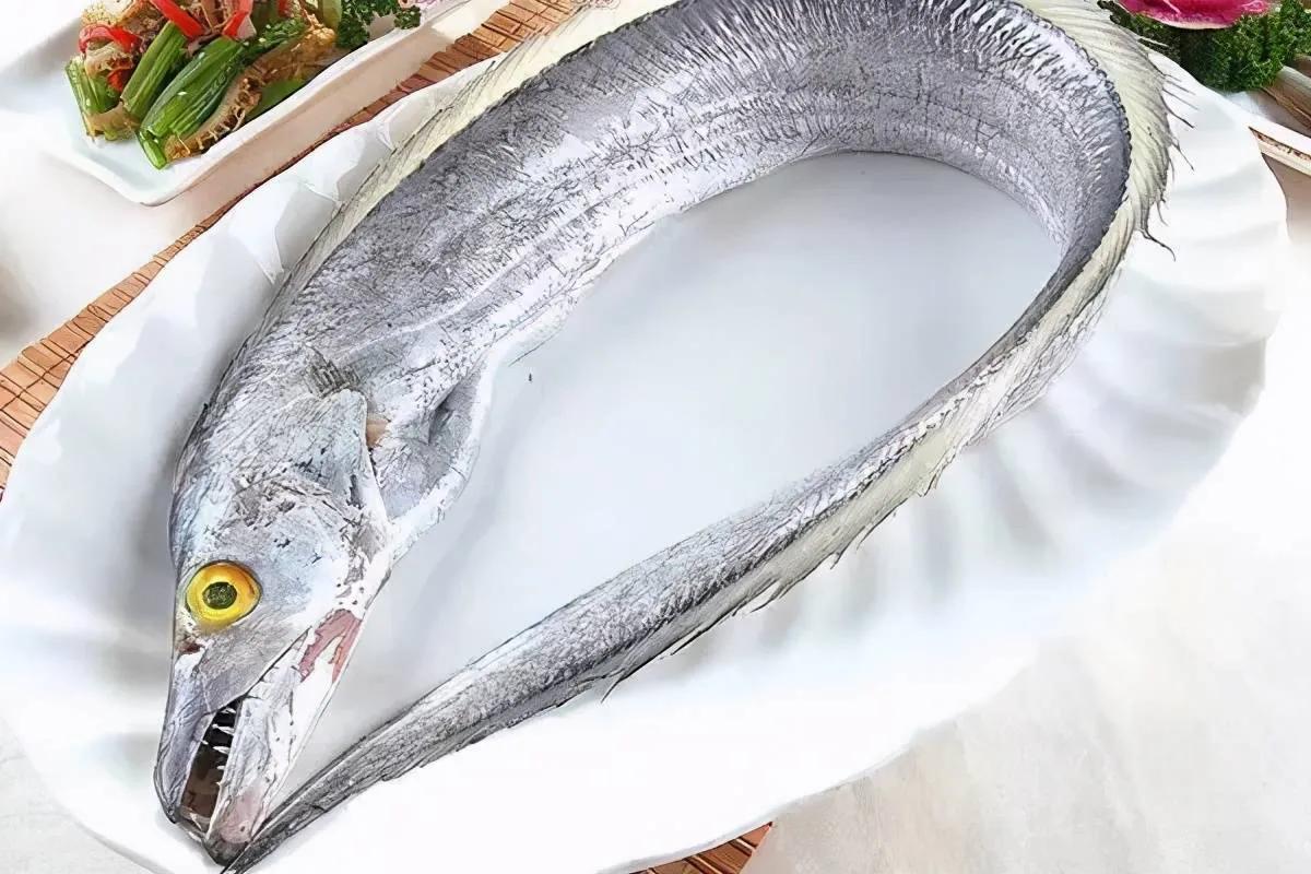 100种常见海鱼大全,常吃的海鱼图片及介绍