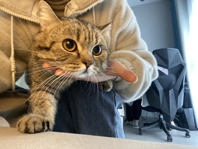 一分钟了解美杜莎,一分钟了解美游