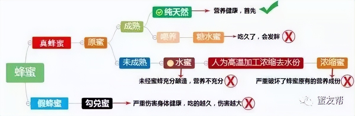 吃什么样的蜂蜜才是好的,带你了解不一样的蜂蜜