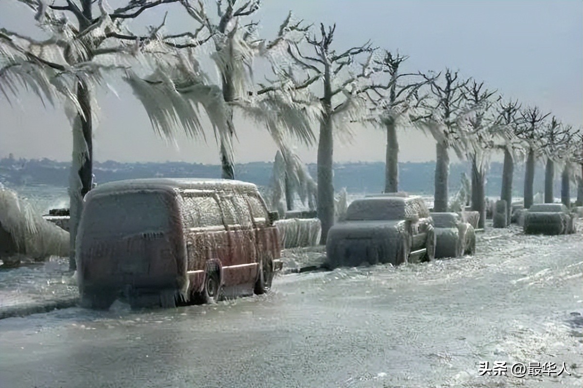 诺亚方舟创世纪1996,爱迪生成功视频