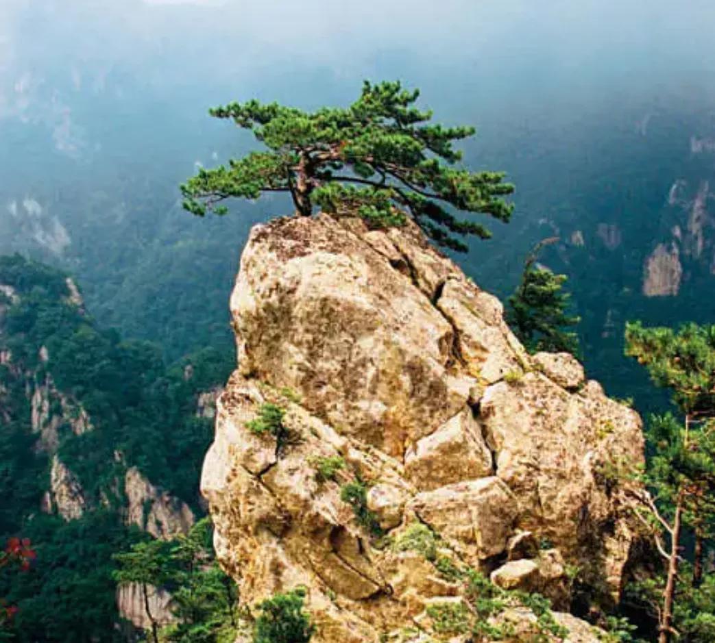 河南九大名山之首,河南十大名山排名榜名单