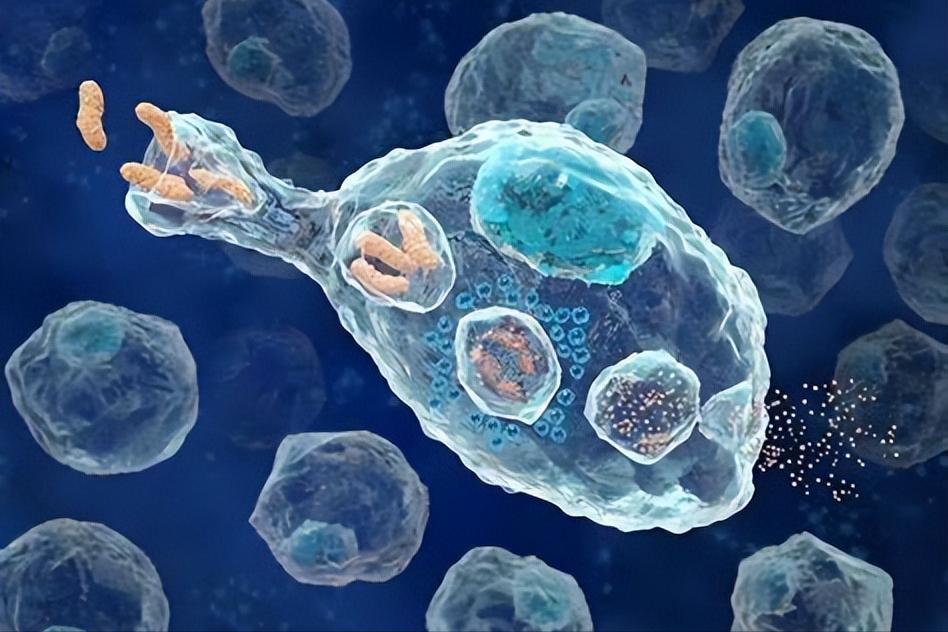 癌症的发病原因及其如何预防,癌症都是先由炎症引起的吗