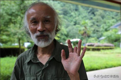 蛇博士完整版,蛇博士烙铁头