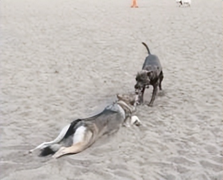 男：我就搞不明白，为啥过桥米线就那么贵呢？比普通的贵6块钱？