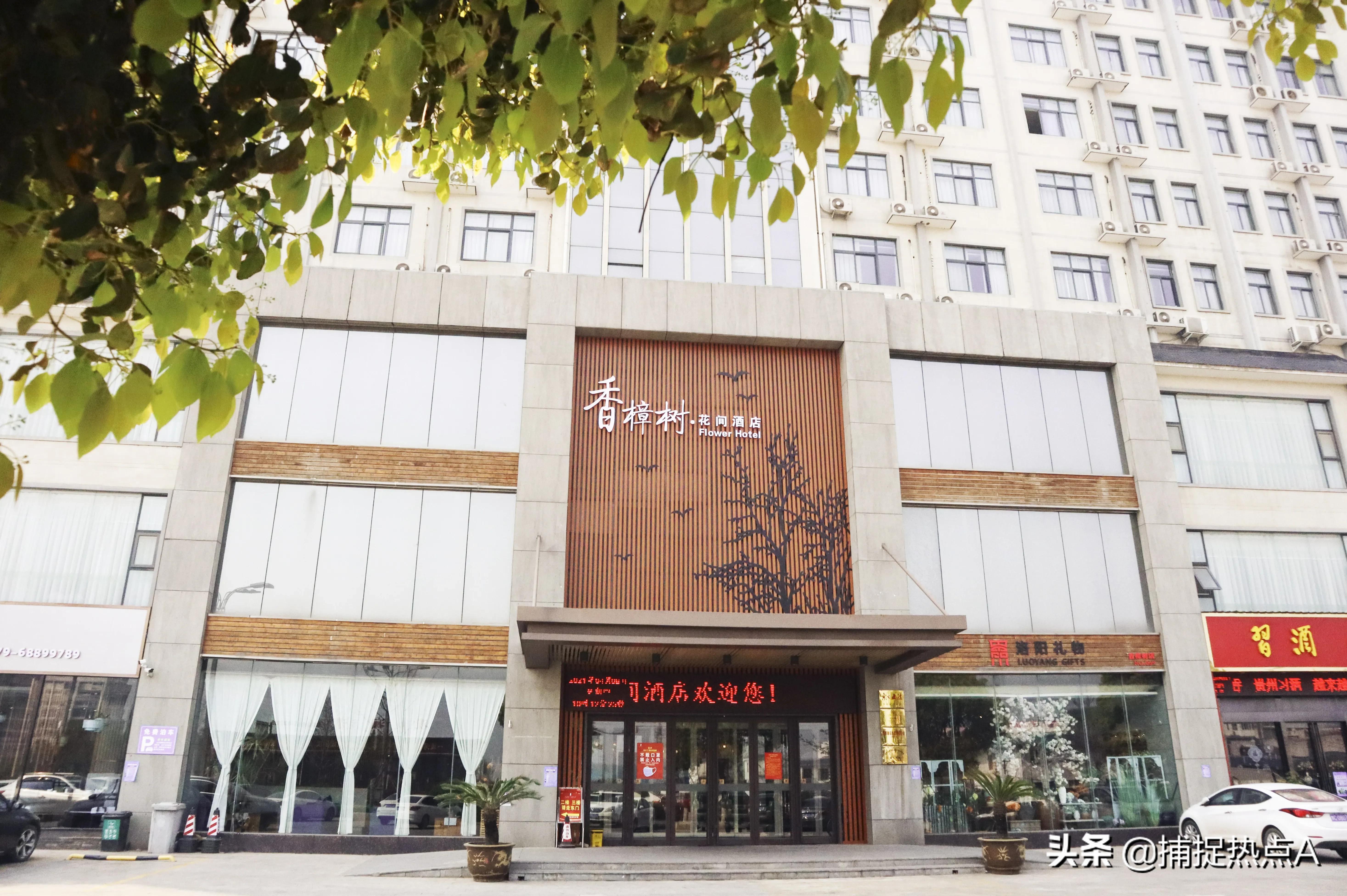 宜阳香樟树酒店坐落在哪里,宜阳香樟树精品酒店团购优惠