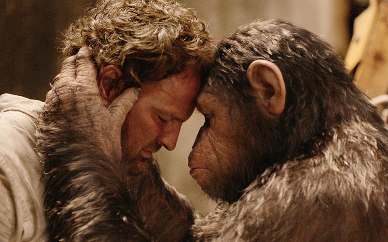 猩球崛起是哪种类型的猩猩,猩球崛起分别是哪种猩猩