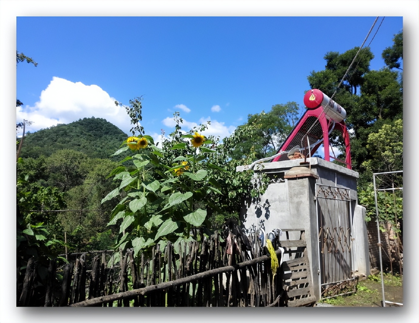 枫丹白露中国,探访中国最北漠河