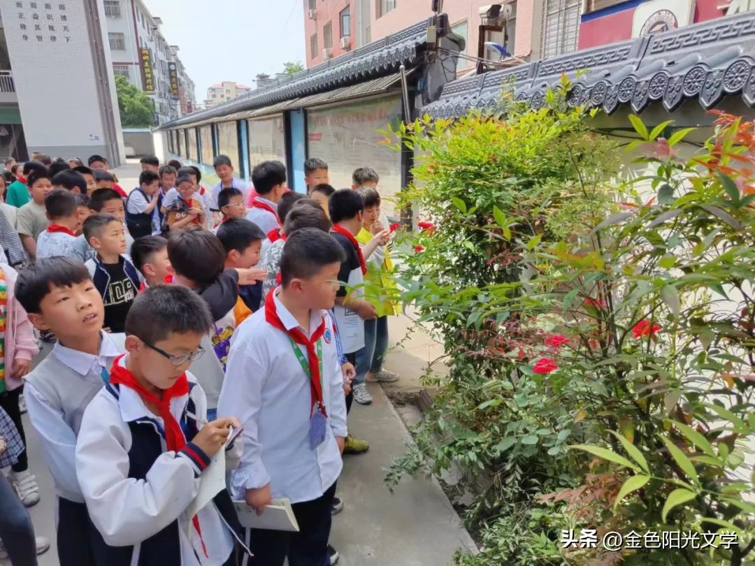 《游四小》《我家的小六六》《我家的金毛》《灰灰》