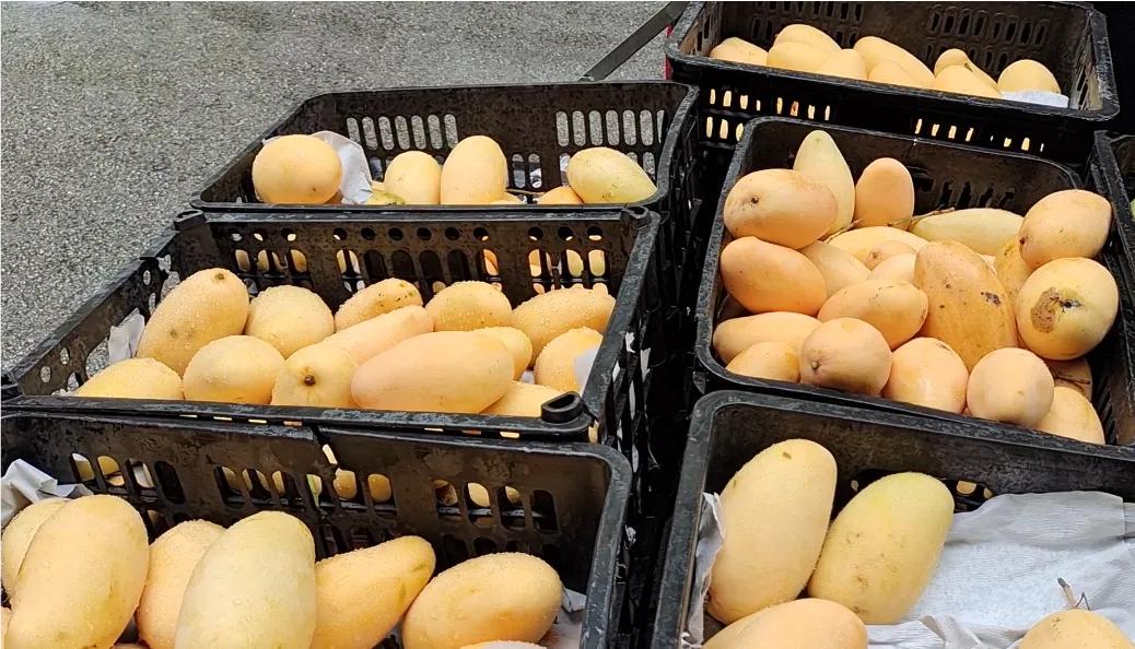 贵州六盘水避暑吃什么,六盘水避暑需要注意什么