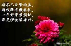 苏轼诗词表达的人生感悟,苏轼有哲理的人生感悟诗词