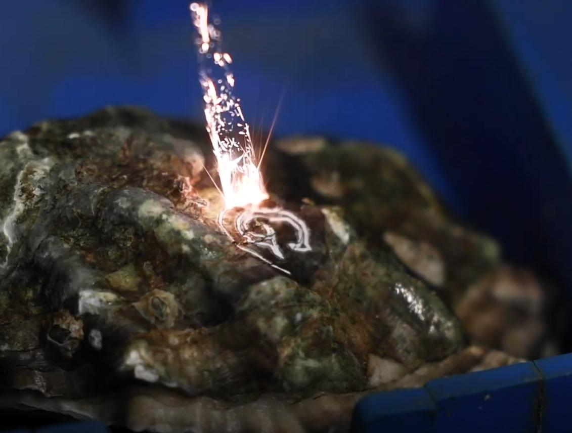 中国生蚝法国生蚝,中国吃生蚝